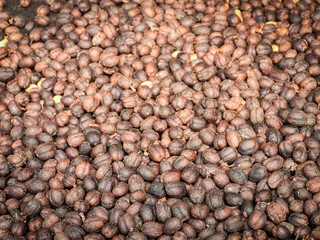 Beautiful dark brown black coffee beans, detailed, lots, beautiful from sunlight on a farm.