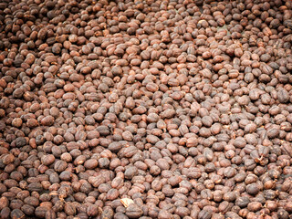 Beautiful dark brown black coffee beans, detailed, lots, beautiful from sunlight on a farm.