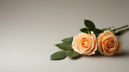 Naklejka premium Elegant display of two pastel roses with green leaves on neutral background, showcasing their delicate beauty and soft hues
