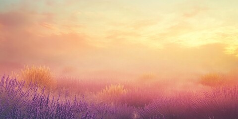 Soft lavender fields at dawn, with mist rising and a golden sky