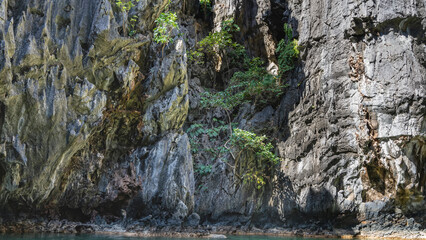Sheer karst cliffs rise near the ocean shore. There is green tropical vegetation on the steep slopes. Philippines. Palawan.