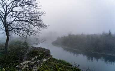 landscape view of river and misty morning in the forest, Nepal.