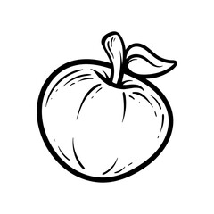 apple fruit isolated drawing coloring line art style sketch classic vintage design illustration