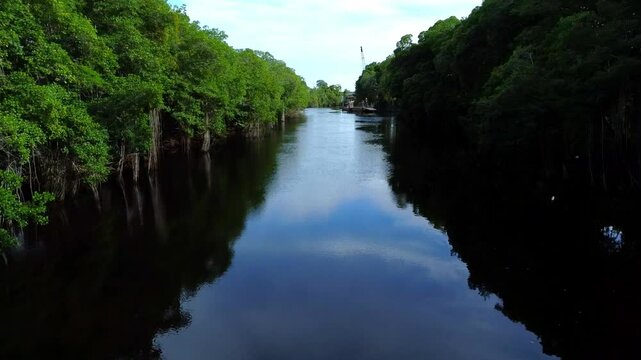 Video shot of calm river in the middle of rainforest and blue sky reflected. Corozal, Belize.