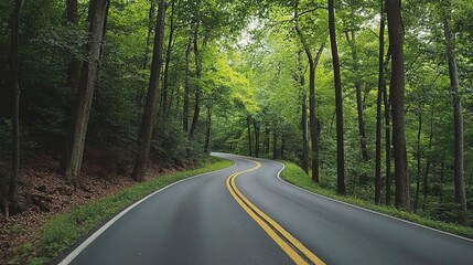 An adventure road trip through a dense forest, with trees lining the winding road ahead.