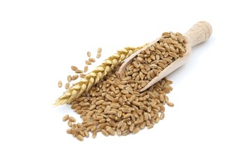 Wheat grain seeds spilling from wooden scoop