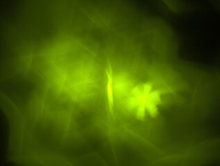 Imaginatory fractal abstract background Image