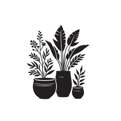 Tree silhouette with tree pot. Indoor tree silhouette. Small tree vector silhouette black and white.