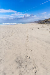 Footprints in the sand and flightline in the sky. Esperance Western Australia