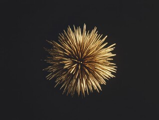 Obraz premium Golden Fireworks Display.