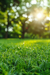 Naklejka premium Natural grass field lawn background with blurred bokeh and sunlight