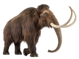 Obraz premium A Realistic Woolly Mammoth
