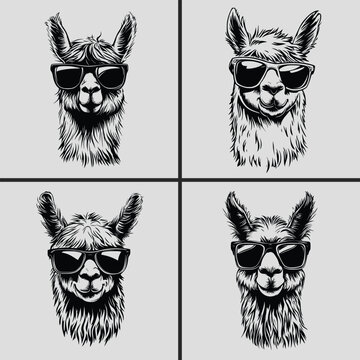 Llama with Sunglasses Svg, Alpaca Head Svg, Llama Vector Svg, Llama Silhouette Vector, Llama Head Vector Svg, Llama Face Svg, Funny Alpaca Head Svg, Animal Svg, Apaca Head Bundle, Llama Head Bundle