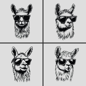 Llama with Sunglasses Svg, Alpaca Head Svg, Llama Vector Svg, Llama Silhouette Vector, Llama Head Vector Svg, Llama Face Svg, Funny Alpaca Head Svg, Animal Svg, Apaca Head Bundle, Llama Head Bundle