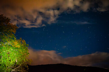 Night Sky Stars Over Mountains and Tree