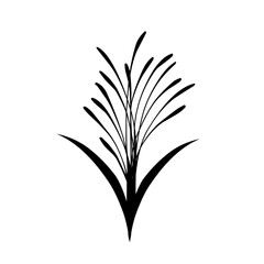 Flower black and white