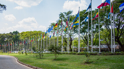 United Nation Flags
