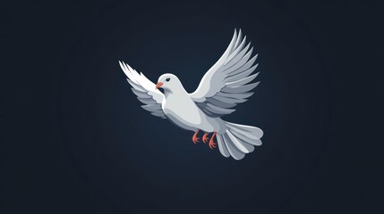 Fototapeta premium White Dove in Flight