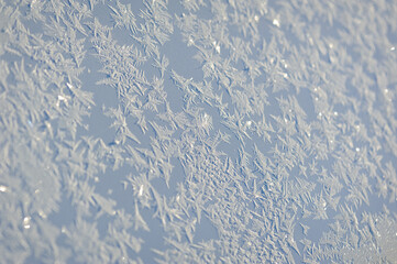 Frost icy flowers on a winter car