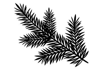 Christmas tree branch vector illustration on white background.