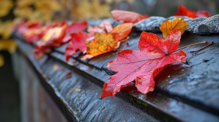 Fallen red leaves on a wet surface. A perfect image for themes of autumn, change, and nature.