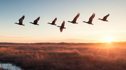 Fototapeta premium A peaceful sunset scene featuring a formation of birds flying across a tranquil landscape, reflecting nature's beauty and harmony.