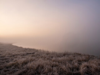 sunny dawn in the swamp, dense fog