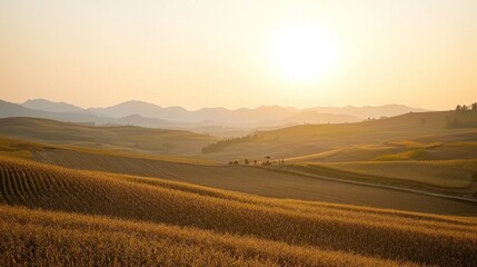 Serene Harvest Time: Stunning Rural Landscape with Harvesting Farmers, Golden Fields, and Majestic Sunset in China