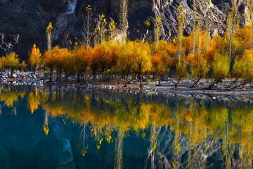 Khalti Lake - detailed view of the trees in autumn colors and their reflection in water of the lake (Gupis-Yasin District, Gilgit-Baltistan, Pakistan)