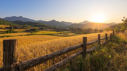 Fototapeta premium Golden Wheat Fields and Traditional Houses in Rural China at Sunset.