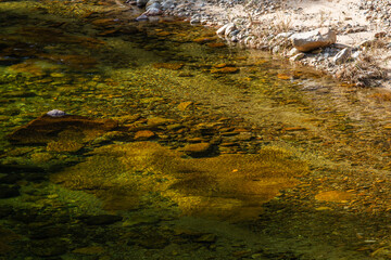 flowing water of the stream in the autumn valley