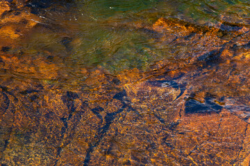 flowing water of the stream in the autumn valley
