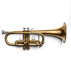 Fototapeta premium Brass full view isolated on transparent background