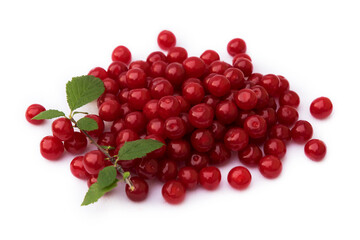 On a white background there is a pile of red ripe berries, A handful of berries decorated with a green leaf from a tree. A bunch of picked cherry berries on a separate background