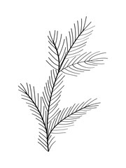 Christmas tree branch sketch doodle. Vector illustration of isolate on white.