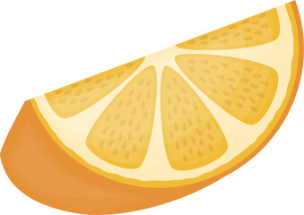 Slice of orange fruit vector illustration