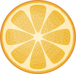 Slice of orange fruit vector illustration