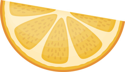 Slice of orange fruit vector illustration