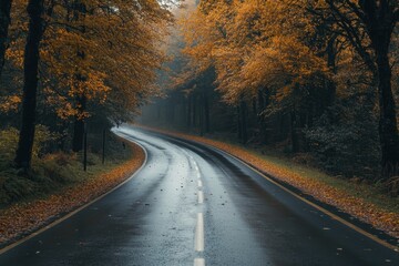 Fototapeta premium A winding road through a misty autumn forest.