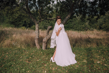 A woman in a white dress is standing in a field. She is wearing a veil and is posing for a picture. The image has a peaceful and serene mood, as the woman is surrounded by nature and the grassy field