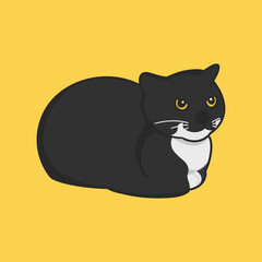 Maxwell Cat Meme Sticker Vector Cute Illustration