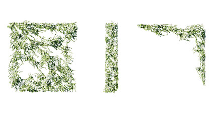 Ivy vines on wall isolated on transparent background. Modern illustration plant with green leaves, home interior, garden landscaping or floral design element.
