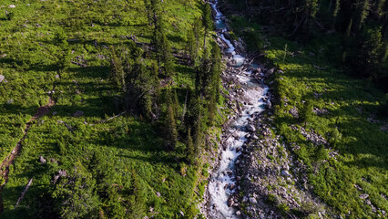 the mountain river Multa in summer in the Altai mountains