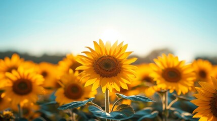 Obraz premium A vibrant yellow sunflower with a bright blue sky in the background. AI generative. .