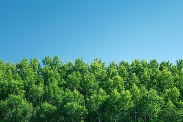 Obraz premium Dense green forest against a clear blue sky. AI generative. .