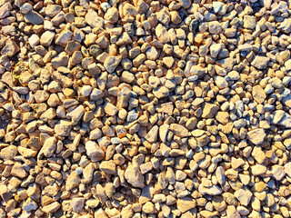 Close-up view of a textured gravel surface revealing various sizes of stones under natural sunlight