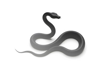 Fototapeta premium Minimalistic image of a black snake silhouette coiled a white background, Symbol of 2025