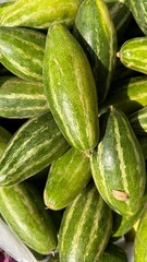 Green Vegetable Snake Gourd close up 