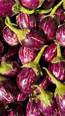  Close-Up of Small Indian Brinjals (Eggplants) with Rich Purple Hue