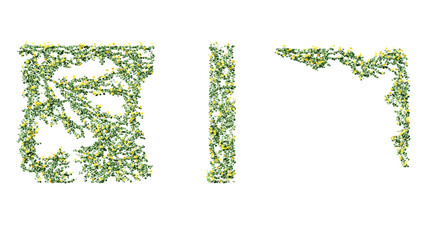 Ivy vines on wall isolated on transparent background. Modern illustration plant with green leaves, home interior, garden landscaping or floral design element. © Nawaphon